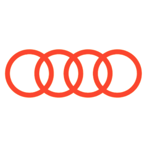 audi-equipo